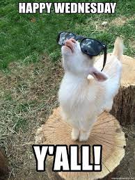 36 Funny Happy Wednesday Memes Wednesday Memes Funny Wednesday Memes Funny Wednesday Quotes