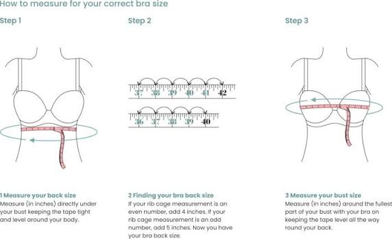What Measurements Do You Need to Calculate Bra Size