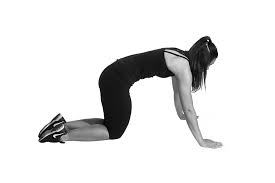 Come onto your hands and knees, making sure your hands are under your shoulders, your knees are under your hips and your. Warm Up Exercises To Incorporate Into Your Workout The Healthy