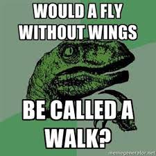 22 Philosophical Velociraptor Ideas Interesting Questions Best Funny Pictures Funny Pictures