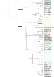 Momen melahirkan merupakan hal yang sangat baru bagiku kala itu. Analyses Of Amplified Fragment Length Polymorphisms Aflp Indicate Rapid Radiation Of Diospyros Species Ebenaceae Endemic To New Caledonia Bmc Ecology And Evolution Full Text