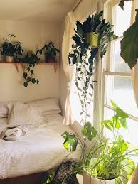 Try to keep its environment between 55 aloe vera absorbs carbon dioxide and releases oxygen at night, making it nice to have in bedrooms. Top Indoor Plants You Should Have In Bedroom For Better Sleep