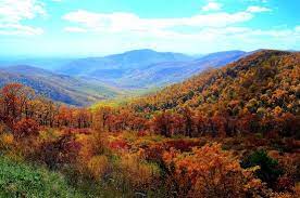 Maybe you would like to learn more about one of these? The 10 Closest Hotels To Skyline Drive Shenandoah National Park Tripadvisor Find Hotels Near Skyline Drive