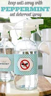 If essential oils aren't available, go to your kitchen for inspiration. Ant Deterrent Spray