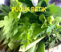 Daun betik tua, dikatakan boleh dibuat jus untuk mengubati penyakit denggi. Anim Agro Technology Pucuk Betik Apa Gunanya Part 2