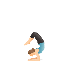 Yoga Pose Scorpion Yoga Poses Yoga Information Yoga