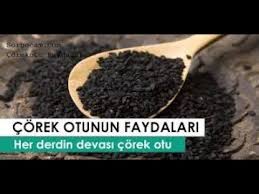 Corek Otu Ve Corek Otu Yaginin Faydalari Nelerdir Corek Otu Yagi Nasil 2020 Otlar Cil Temel Egzersiz Hareketleri