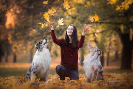 Table of content how much money does a pet photographer make? The Ultimate Guide To Pet Photography 87 Best Tips