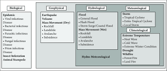 Classification Of Natural Disasters Within Em Dat Database Below Download Scientific Diagram