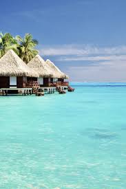 Discover Zika Free South Pacific Islands Easy Planet Travel Best Island Vacation South Pacific Islands Dream Vacations