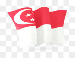 Di bagian gerekan, terdapat salib selatan; Indonesian Flag