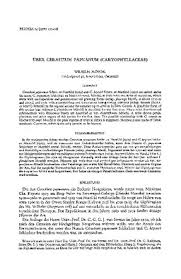 Image result for Cerastium octandrum