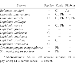 Image result for Vernonia karaguensis