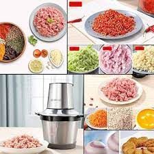 GaRcan Picadora de Carne, picadora eléctrica de Alimentos con Eje de Acero  metálico, pequeño procesador de Alimentos de Cocina para Picar Verduras:  Amazon.es