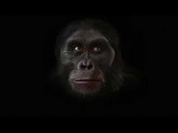 4 Milioni Di Anni Di Evoluzione Della Nostra Specie In Meno Di 2 Minuti Menschliche Evolution Menschliche Gesichter Evolution