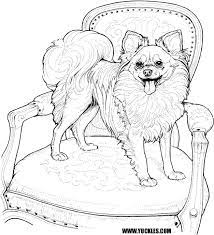 Pomeranian puppy coloring page from dogs category. Pomeranian Coloring Page Malvorlagen Pferde Malvorlagen Tiere Tiere Zeichnen