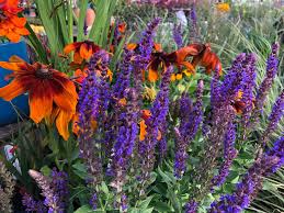 Buy flowers online from myflowertree a flower shop online. Home Coolings Garden Centre