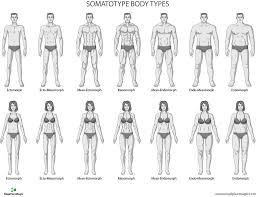 Healthy Eating To Protect Your Heart The Heart Foundation In 2020 Body Types Mens Body Types Body Types Women