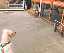 Jun 28, 2021 · de asemenea, alături de h.g. Accesul Interzis Cu Animalele De Companie In Magazine Subiect De DiscuÈ›ie Pe ReÈ›elele De Socializare Intamplare Cu Final Fericit La Dedeman In Alba Iulia Ziarul Unirea