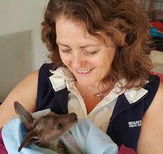 How Animals Heal Themselves : Ingraham, Caroline, Stubbs, Martin, Ingraham,  T. H., Stubbs, Martin: Amazon.com.au: Books