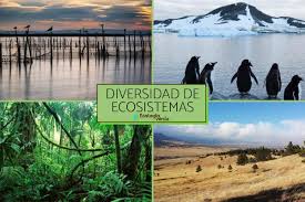 Un ecosistema tiene cierta capacidad de autorregulación, y puede recobrar su equilibrio si el daño producido no ha sido vital. Diversidad De Ecosistemas Que Es Y Ejemplos