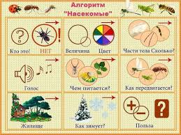 занятия по развитию речи в старшей группе детского сада Tematicheskie Algoritmy Razvitie Rechi Doshkolnye Igry Nasekomye