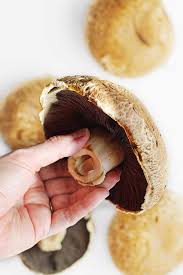 Confira na portobello aos últimos lançamentos de porcelanatos e revestimentos cerâmicos para paredes, pisos, fachadas. Portobello Mushroom Everything You Need To Know Rhubarbarians