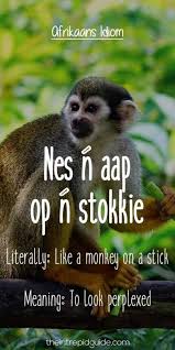 Pin On Raynard Afrikaans