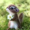 (pets/cats and dogs/cute animal pictures) 'tis the. Https Encrypted Tbn0 Gstatic Com Images Q Tbn And9gcr5zdpu7ghmfwyerqszhvwalm F35rmxyq08dihj7ubnwpggmn Usqp Cau