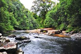 At 2,187m, gunung tahan is the highest peak in peninsular malaysia and is located in the taman negara national park. Taman Negara In Malaysia The Complete Guide