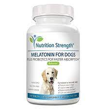 We did not find results for: 6 Best Melatonin For Dogs July 2021 Reviews The Goody Pet