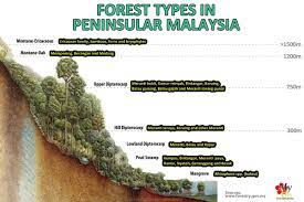 All states, which was unprecedented. Malaysia Biodiversity On Twitter Forest Types In Peninsular Malaysia Sources Www Https T Co Fi9cdtt5gb