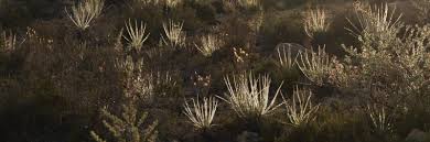 Publications - FEBIMED group