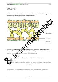 Photosynthese Beteiligte Strukturen Unterrichtsmaterial Im Fach Biologie Photosynthese Biologie Klassenarbeiten