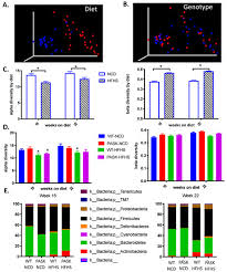 Gut Microbiota Regulates the Interplay between Diet and Genetics to  Influence Glucose Tolerance †