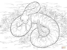 Western Diamondback Rattlesnake Coloring Pages Malvorlagen Tiere Tiere Zeichnen Malvorlagen