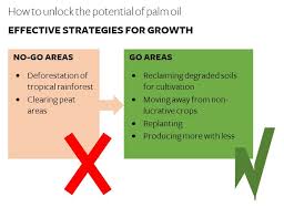 What green activists and recognised as one of the four main palm oil certification schemes. Solidaridad Calls For Sustainable Production Of Palm Oil In Face Of Eu Ban Solidaridad Network
