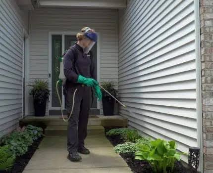 Foundation Insect Barrier Application