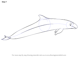This is a big, full grown killer, so make sure you have enough paper! Learn How To Draw A False Killer Whale Marine Mammals Step By Step Drawing Tutorials