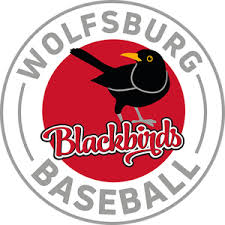 Two groups of birds in the parvorder passerida: Homebase Der Wolfsburg Blackbirds Baseball Wolfsburg Blackbirds Baseball