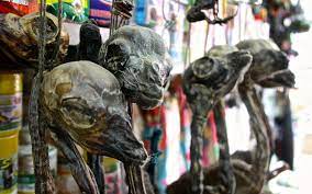 17 Interesting Facts About Bolivia Atlas Boots