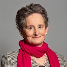 Parliamentary career for Mrs Flick Drummond