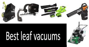 You won't have to buy a hose or. Top 11 Best Leaf Vacuums 2021 Buyers Guide