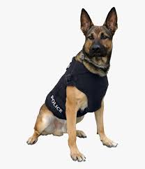 This image has format transparent png with resolution 2754x2154. Police Dog Transparent Background Hd Png Download Transparent Png Image Pngitem