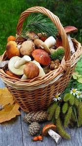 Epingle Par Levonda 2 Sur My Woodland Cottage En 2020 Fruits Et Legumes Paysage Automnal Legumes