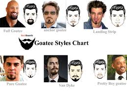 beard styles 15 most popular goatee styles with pictures