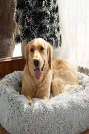 lit pour chiens et chats lit chien extensions de cheveux lit pour chat