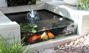 Top 10 Beautiful Flowers That Will Transform Your Garden In 2021 Fish Pond Gardens Koi Pond Design Pond Design