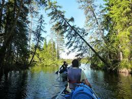 Chris from linz in bergslagen, is one of sweden's perhaps most popular idol winners. Canoe Tours In Bergslagen In Sweden Nature Travels