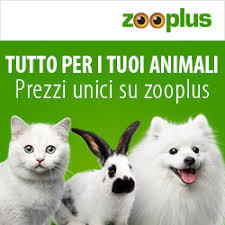 Alcune sono tossiche, altre generano reazioni avverse. Cibi Dannosi E Tossici Per Il Nostro Cane Chihuahua Lovechihuahua It